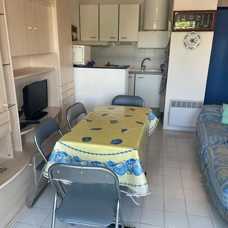Amoureva Joli 2 Pieces Avec Piscine Climatise Et Proche De La Richelieu Cap D'agde 아파트 *